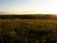 Standlynch Down at sunset