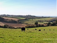 Barford Down