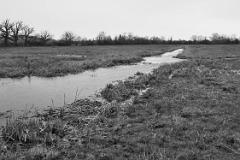 Meadow drain  in winter