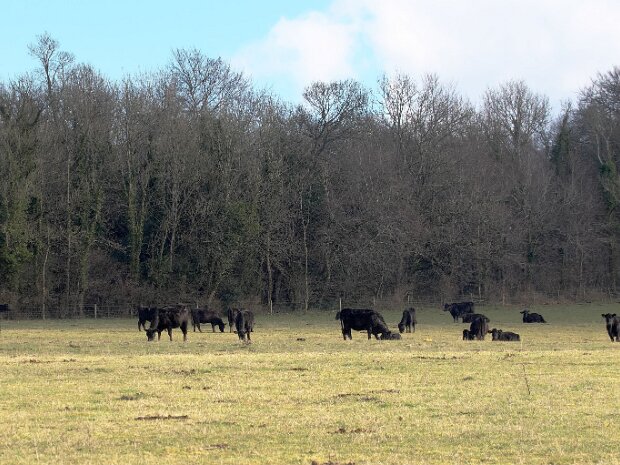 Farm 2025